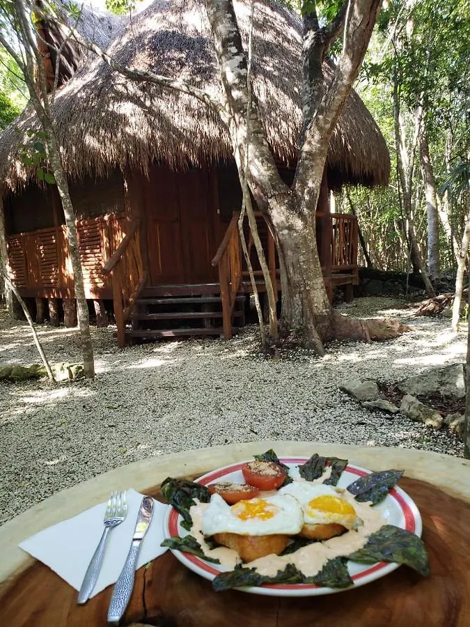 Aldea Maya-Ha Cabañas con cenotes Puerto Morelos