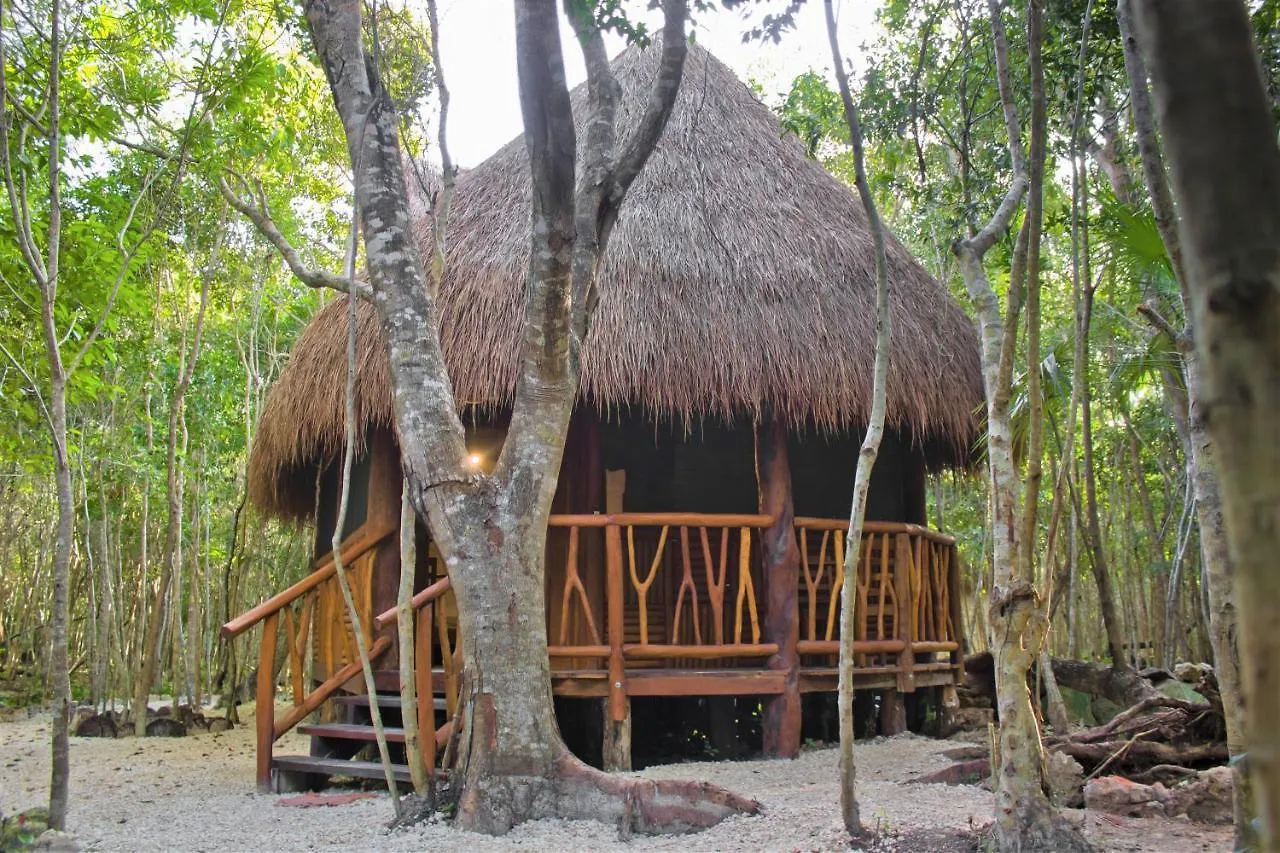 Aldea Maya-Ha Cabañas con cenotes Puerto Morelos