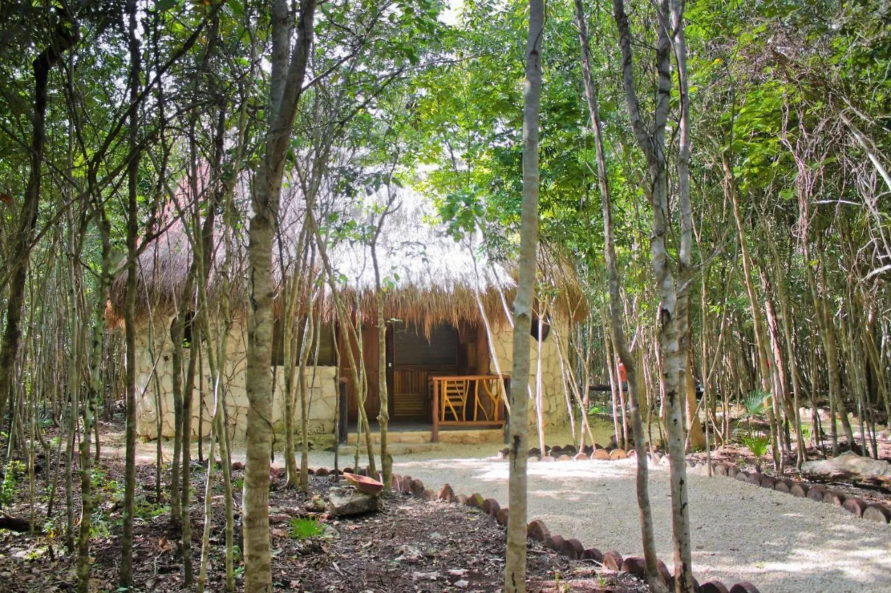 Aldea Maya-Ha Cabañas con cenotes Puerto Morelos Camping