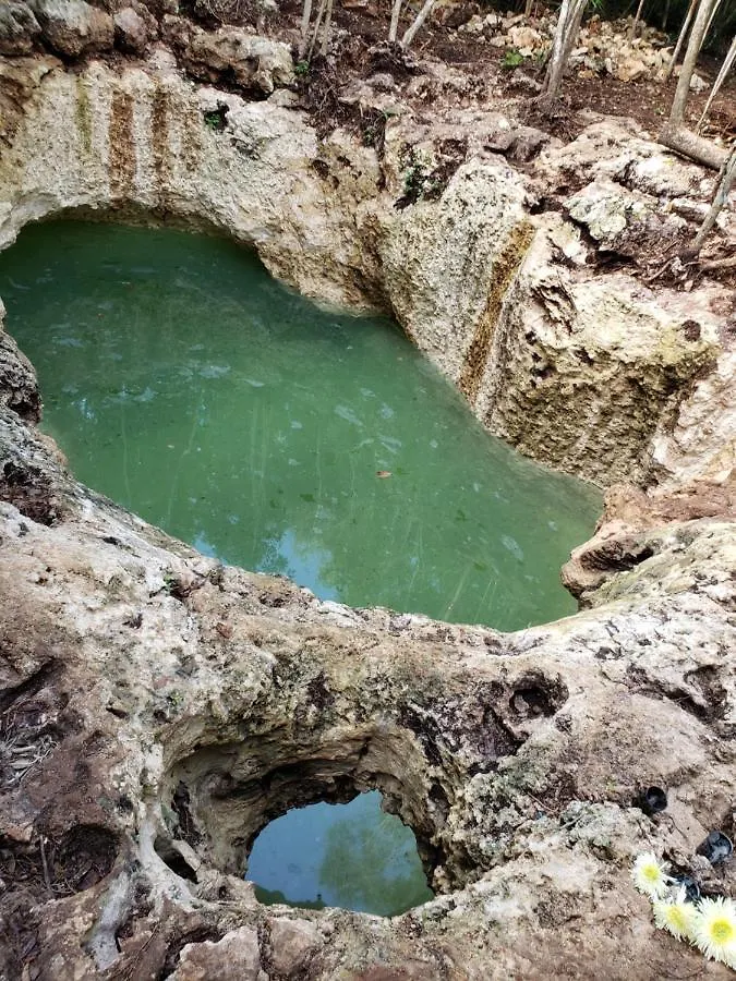 Aldea Maya-Ha Cabañas con cenotes Puerto Morelos