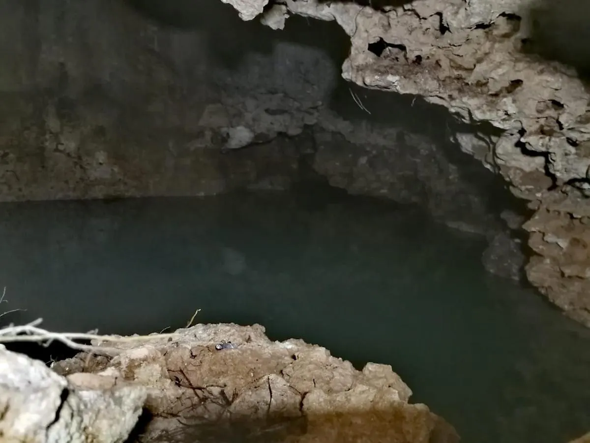 Aldea Maya-Ha Cabañas con cenotes Puerto Morelos México