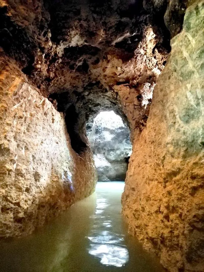Aldea Maya-Ha Cabañas con cenotes Puerto Morelos Camping